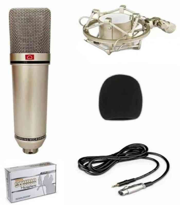 U87 Professional Stage Performance Microphone